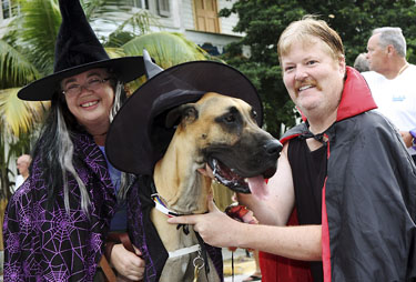 Masquerade March 2011 photo - Duval Street, Key West